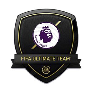 FIFA19 Ultimate Team P /  ( )      