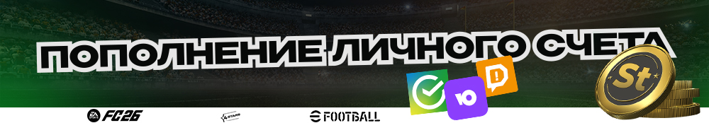        Visa, MasterCard, ,    DonationAlerts
  ...